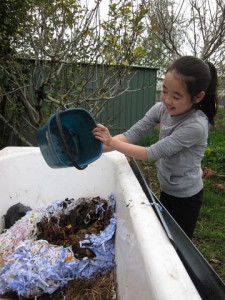 Mio helps feed the worms