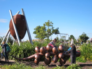 kowhai pod