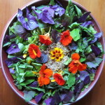 solstice salad