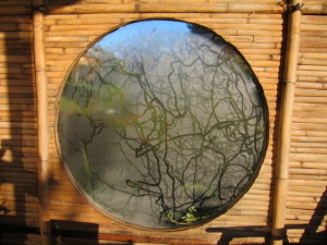 Snail art on deck window-from inside