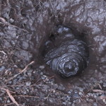 Tokaanu mud pool