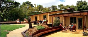 Gathering in the Aio Wira Courtyard