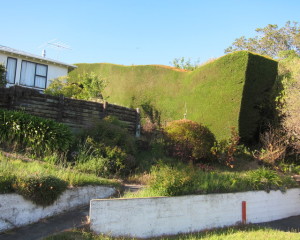 Solid hedges against the gales..